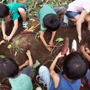 Nonprofit Fundraising Campaign Planner